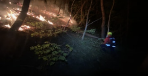 인제 산불 진화작업 사진