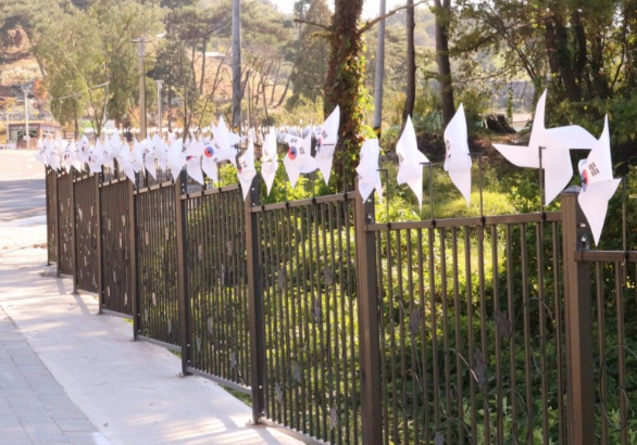 태극기 바람개비와 갈대숲 – 촬영장 입구 분위기