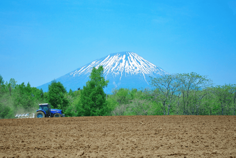 겨울 여행지 추천