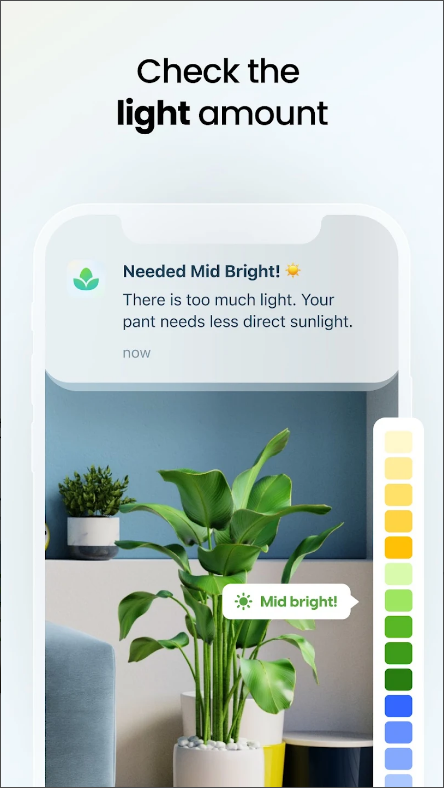 식물 식별(Plant App) 어플, AI 식물 식별 하기, 사진으로 식물 이름 찾기