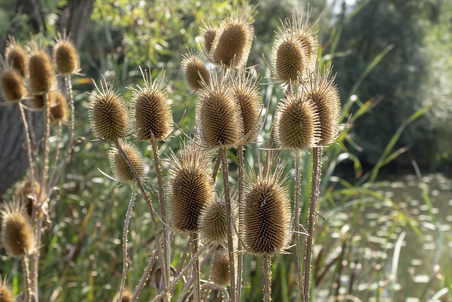 전립선비대증 증상 10