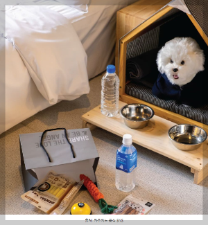 애견 동반 겨울 여행지