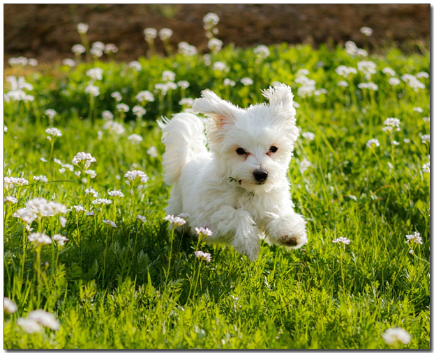 ์๋์์ ๋ฐ๊ณ ์๋ ๋งํฐ์ฆ