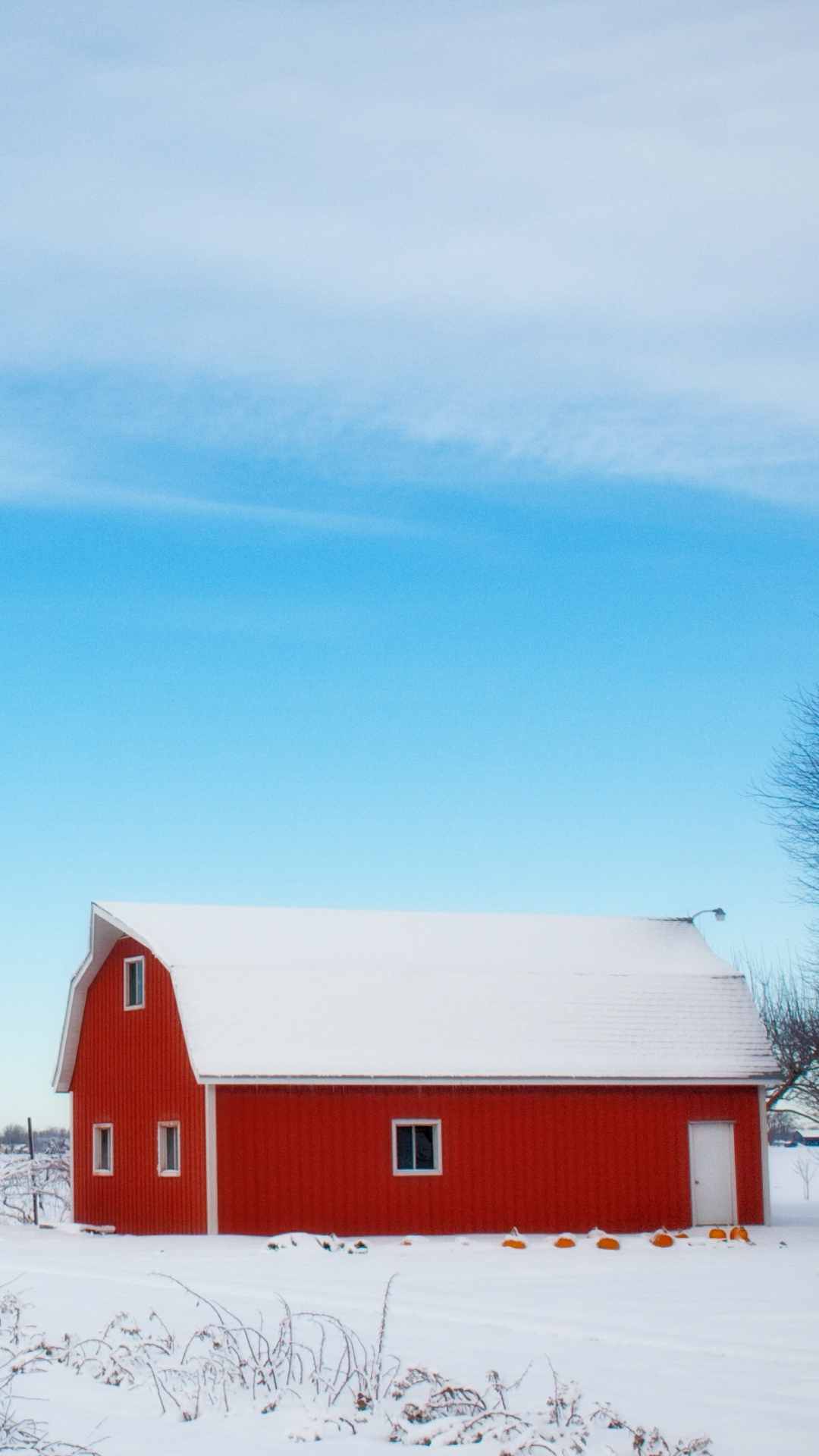 snow wallpaper