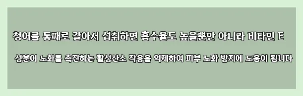  청어를 통째로 갈아서 섭취하면 흡수율도 높을뿐만 아니라 비타민 E 성분이 노화를 촉진하는 활성산소 작용을 억제하여 피부 노화 방지에 도움이 됩니다