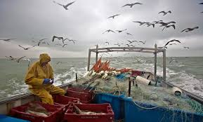 직불금 신청소규모어가 어업 경영체 등록