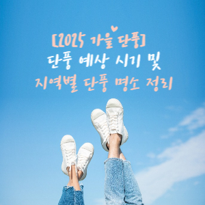 지역별 단풍 예상시기