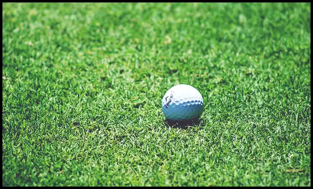 파크골프의 기본자세 (+ 퍼터 )