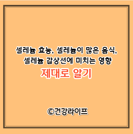 셀레늄 효능&#44; 셀레늄이 많은 음식&#44; 셀레늄 갑상선에 미치는 영향