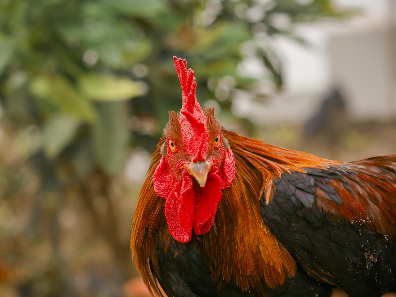 반려동물 의류 건조기 5종 스펙&middot;기능 비교