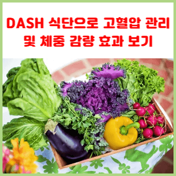 DASH-식단으로-고혈압-관리-및-체중-감량-효과-보기