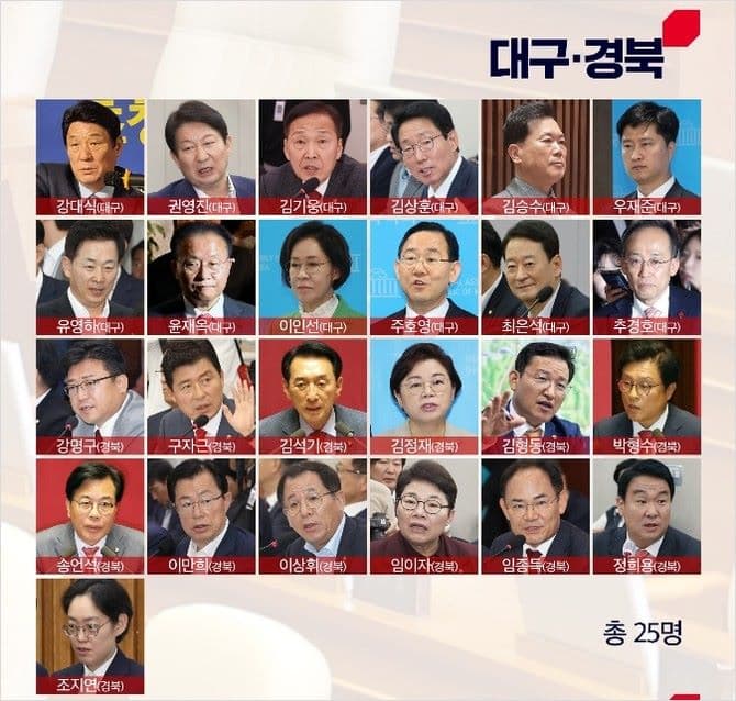 탄핵표결_불참_국힘_2