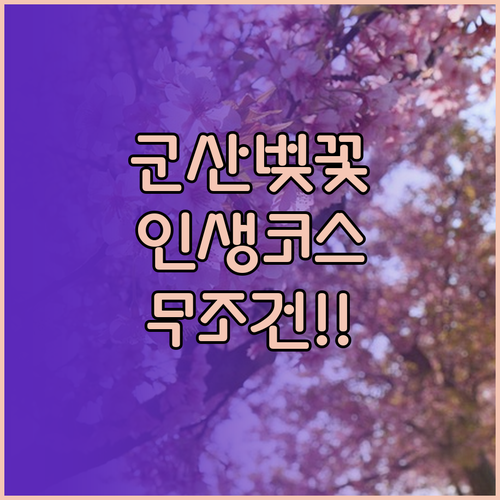 은파호수공원 월명공원 군산 벚꽃 나들..