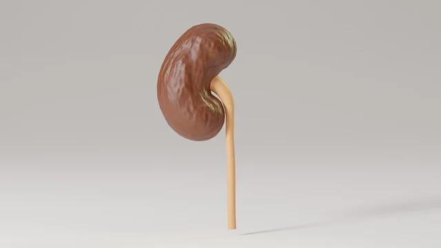 전립선비대증 치료약