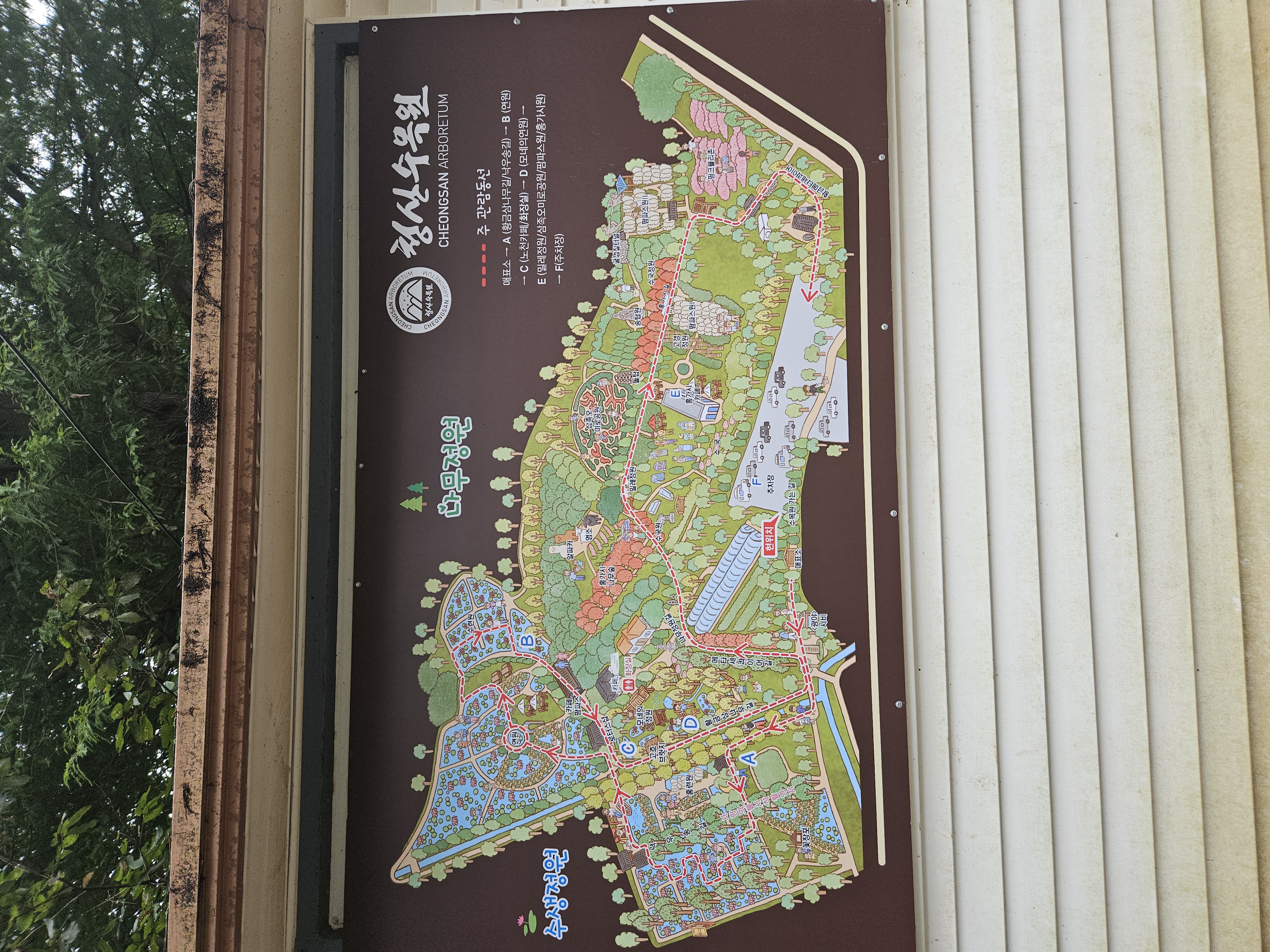 충남 태안 청산 수목원 애견동반 여행