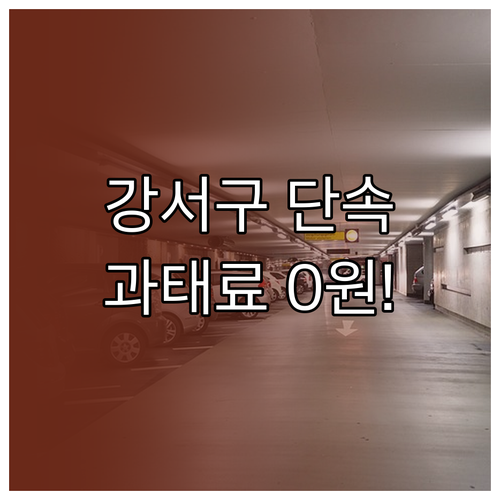 부산 강서구 주정차 단속 알림 서비스..