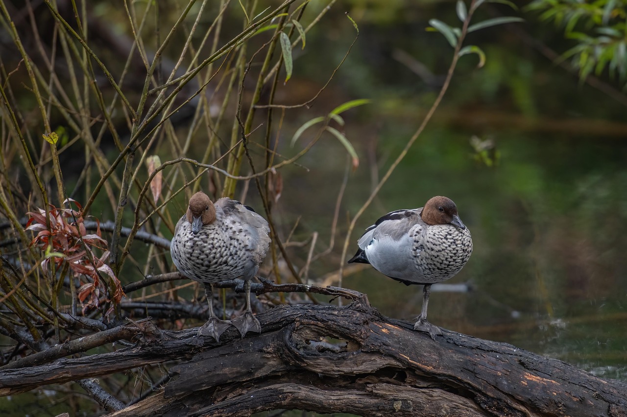 2025 실수령액 계산기