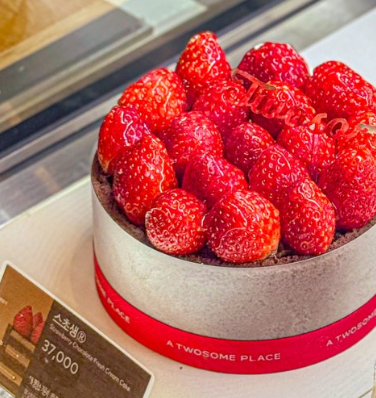 투썸케이크 추천 스초생예약