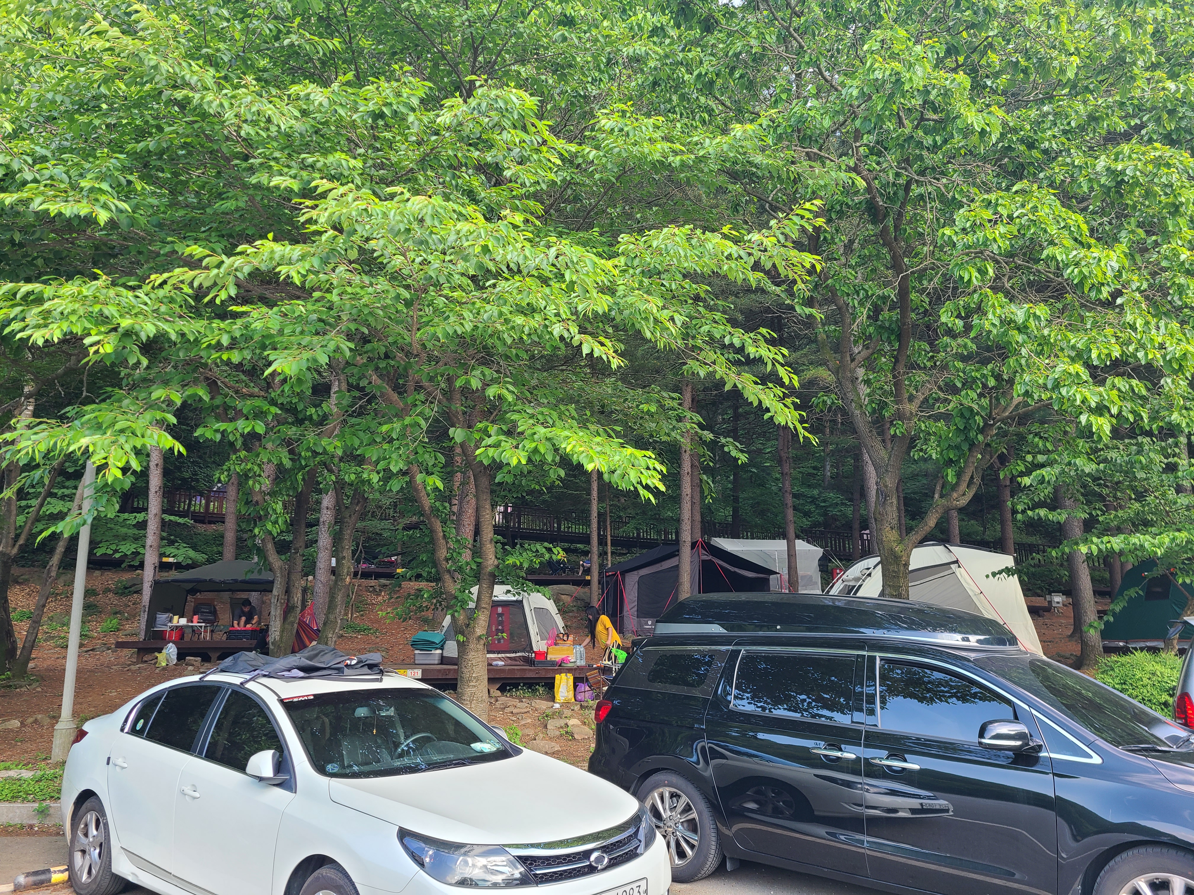 유명산자연휴양림 주차장에서 야영장 바라본 모습