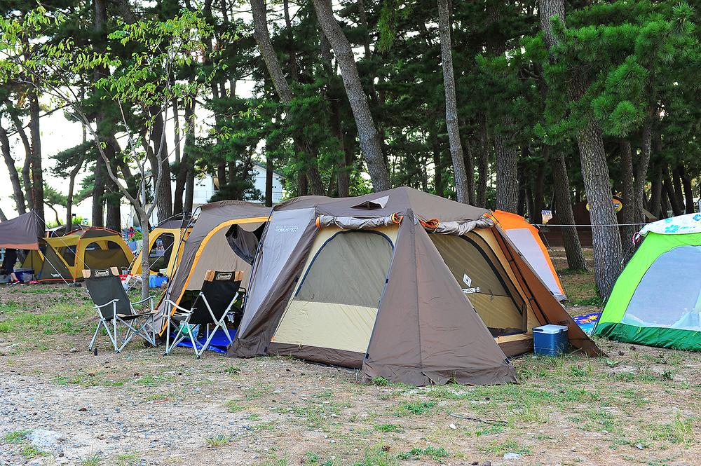 경상남도 남해군 송정솔바람야영장