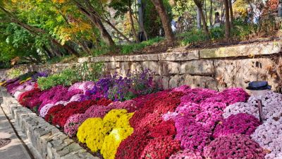 단풍명소_화담숲_하경정원