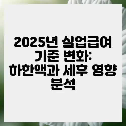 2025년 실업급여 기준 변화: 하한액과 세후 영향 분석