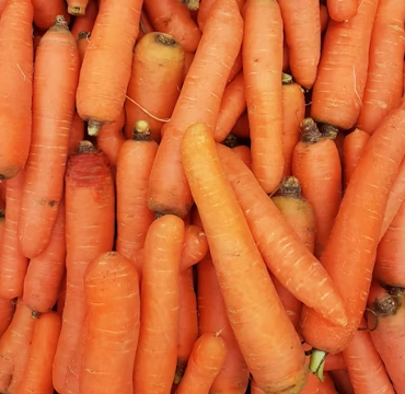 비타민A 부족 증상 먹는법 음식