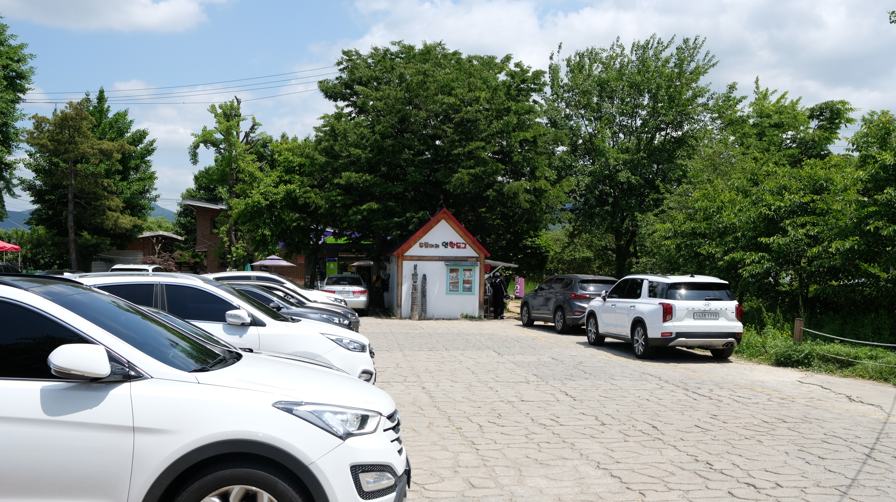 두물머리 느티나무 주차장 연핫도그