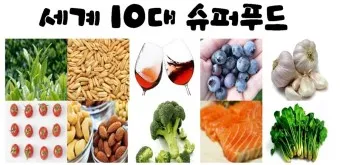 슈퍼푸드 종류 효능_15