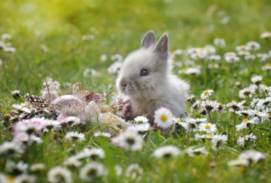 2025년 6월 토끼띠 생년별 운세