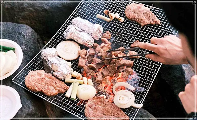 생방송오늘저녁 옥천 100년 된 시골집에 신혼살림, 반려견 동반, 시골집, 촌캉스, 민박집, 감성 펜션, 여행 숙소 추천