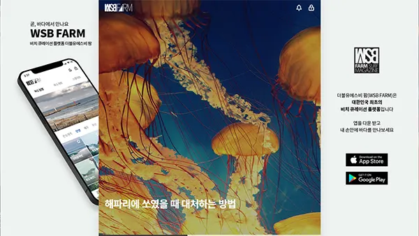 WSB RAFM 사이트 바로가기