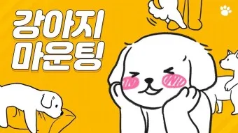 강아지 마운팅 이유 해결 방법_8