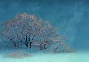 자연이미지2