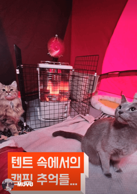 토요토미난로 후기