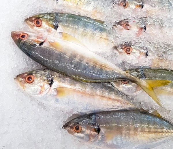 심장에 좋은 음식들