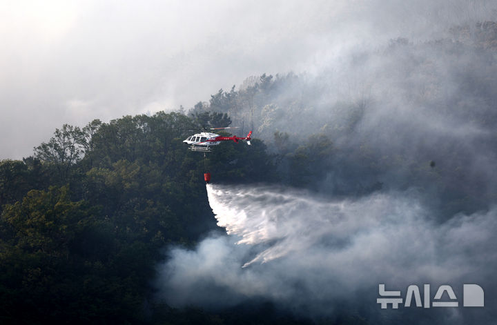 대구 함지산 산불 현황 대응 조치 및 피해 상황