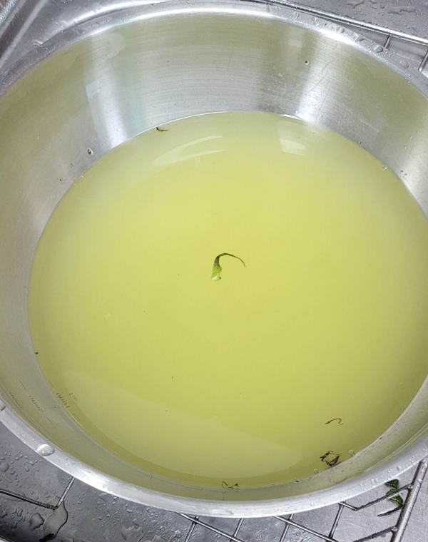 토마토 농약 씻은 물