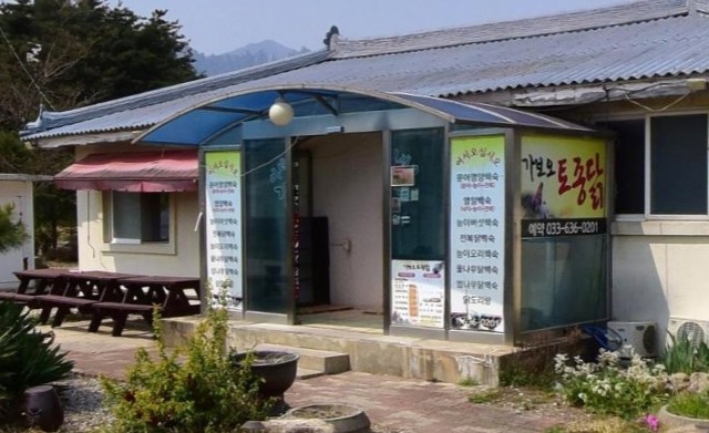 속초 현지인 추천 맛집 - 가보오 토종닭