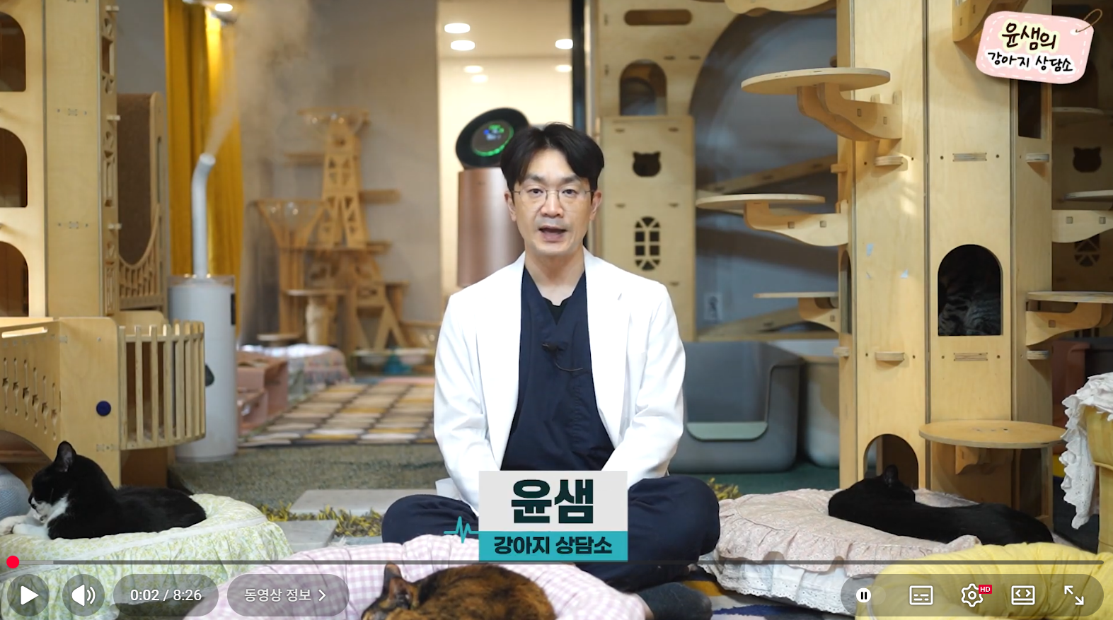 반려견 목욕 방법 (적정 주기, 필수 준비물, 피부 관리)