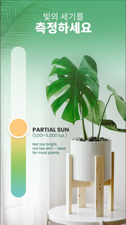 식물이름 찾기 어플, 앱 설치하고 사용하기