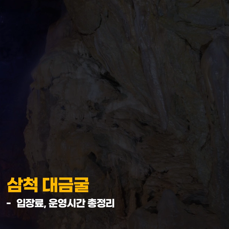 삼척-대금굴-입장료-운영시간-이용-안내