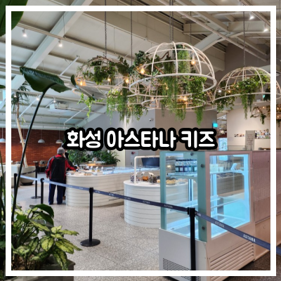 화성 아스타나 키즈