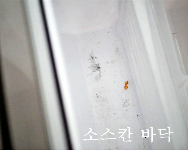냉장고 문쪽 도어 선반 소주 청소 세균, 냉장고 문 고무패킹 청소, 생활 팁줌 매일꿀정보
