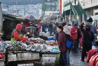 부산 자갈치시장 먹거리 투어 바다의 맛 체험_14