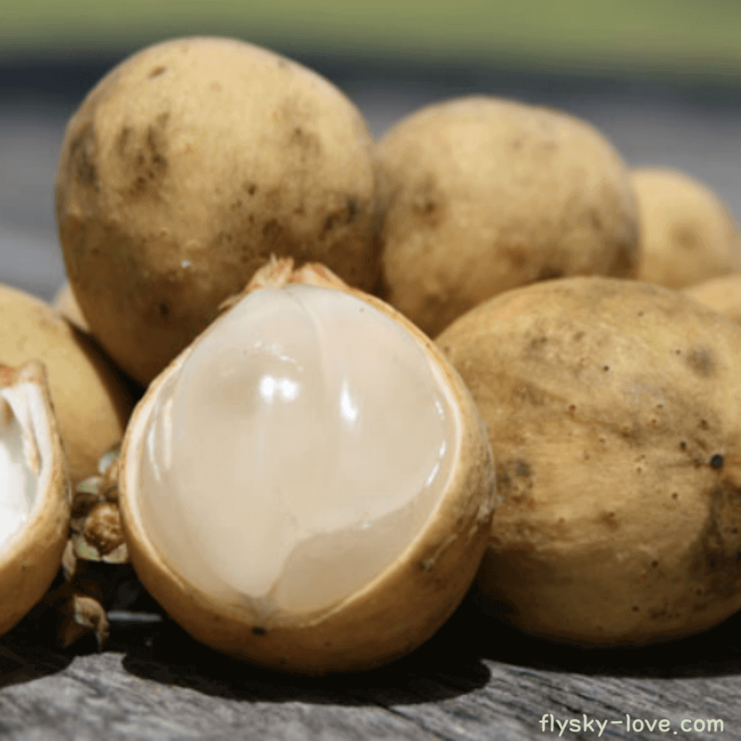 랑삿 (Langsat) 활용법