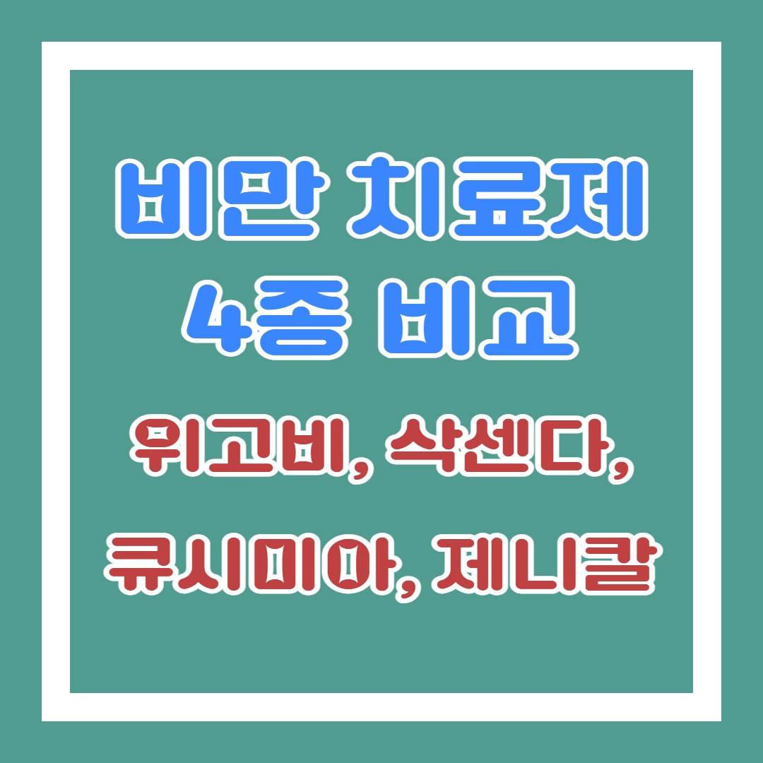 비만 치료제 4종 비교