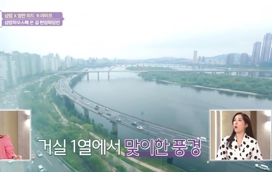 김성령 집