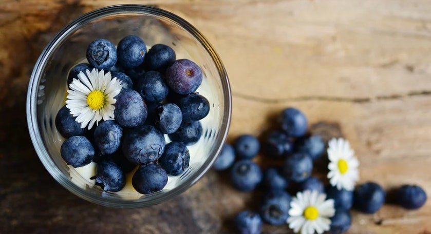 비문증의 치료에 좋은 음식