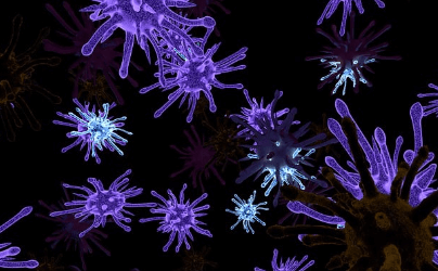 마이코플라즈마-제니탈리움-호미니스